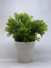 Artificial Green Plant in White Pot